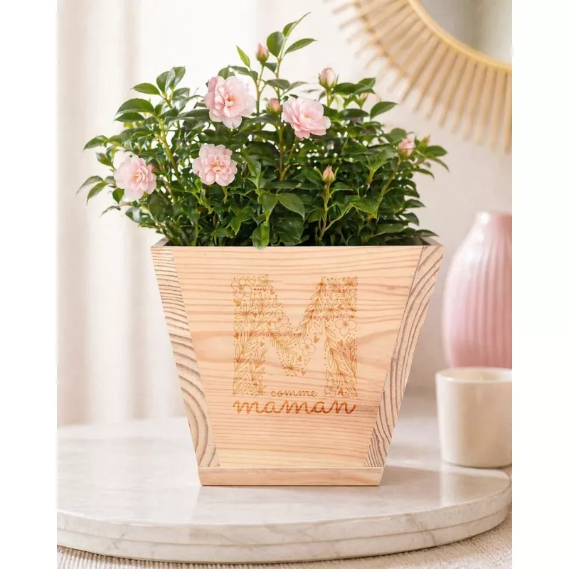 Pot de fleurs en pin, carré